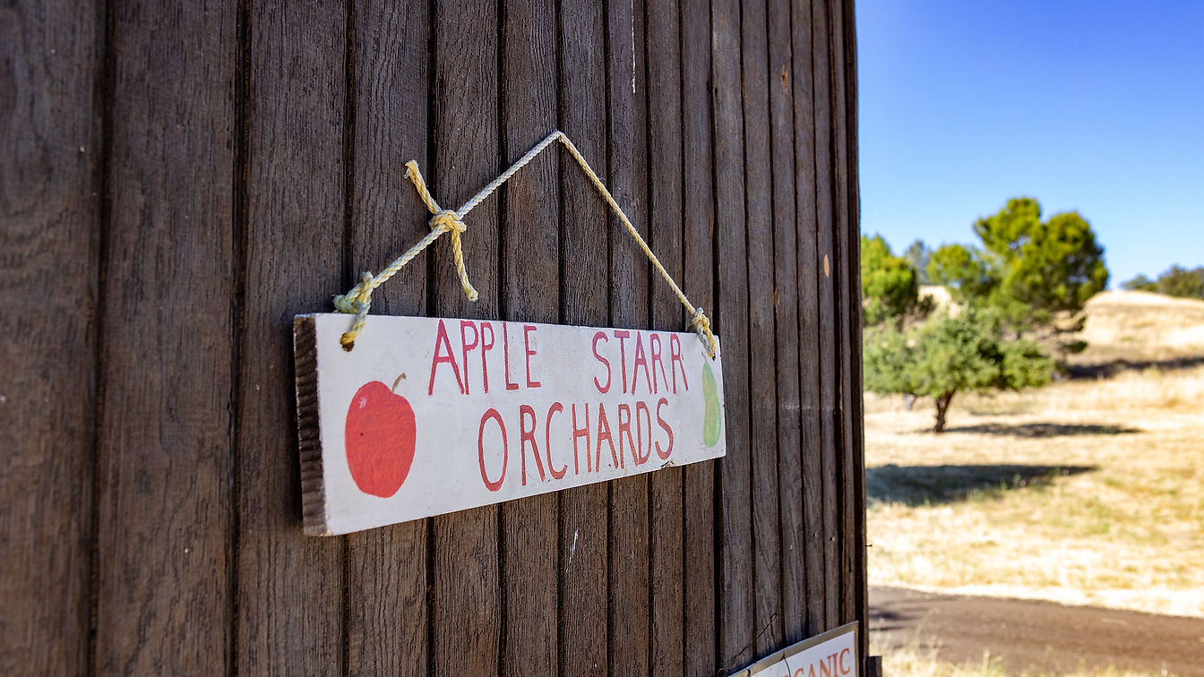 Apple Starr Orchard  | Julian, CA.